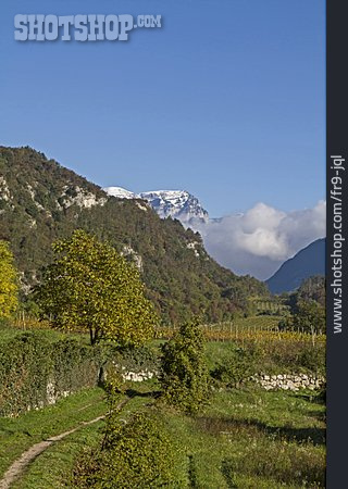 
                Weinberg, Trentino                   