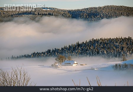 
                Winter, Winterlandschaft, Schauinsland                   