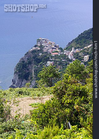 
                Küstenstadt, Cinque Terre, Corniglia                   