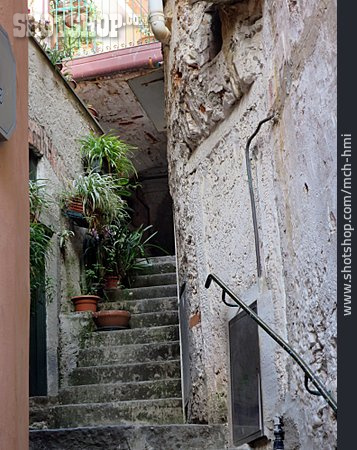 
                Treppe, Altstadt, Riomaggiore                   