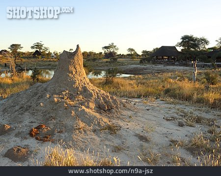 
                Termitenbau, Pilanesberg-nationalpark                   