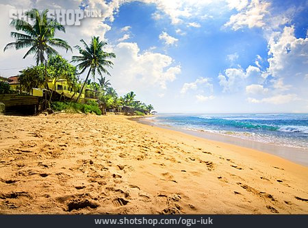 
                Strand, Insel, Sri Lanka                   