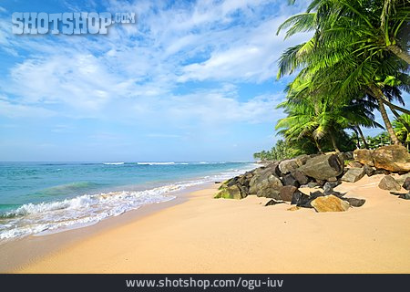 
                Beach, Sri Lanka, Hikkaduwa                   