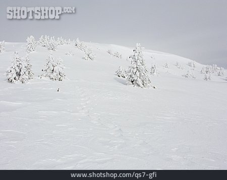 
                Winterlandschaft, Schnee                   