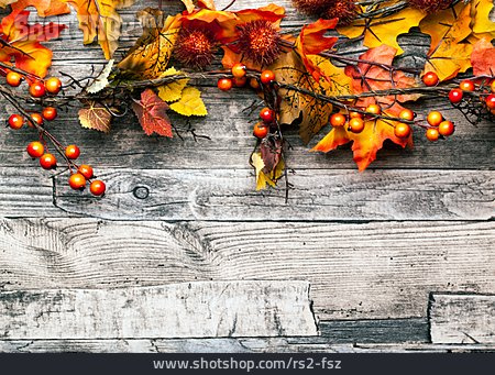 
                Herbst, Herbstblätter, Herbstdekoration                   