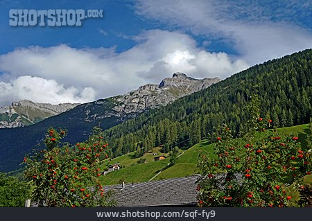 
                Tirol, Stubai, Stubaier Alpen                   