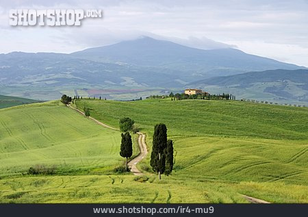 
                Landschaft, Toskana, Val D'orcia                   