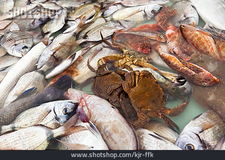 
                Fischmarkt, Krabben, Fische                   