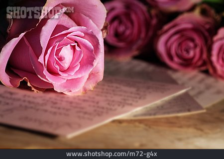 
                Liebesbrief, Briefe, Rosenstrauß                   