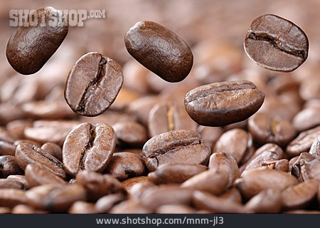 
                Kaffee, Kaffeebohnen, Arabica                   