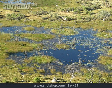 
                Okavango Delta                   