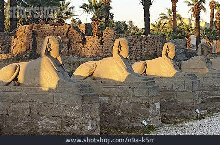 
                Skulptur, Bildhauerei, Sphinx                   