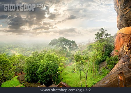 
                Urwald, Sri Lanka, Festungsanlage                   