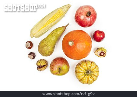 
                Obst, Herbstgemüse                   