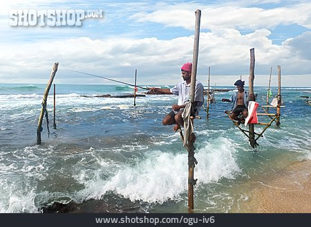 
                Fischfang, Angler, Sri Lanka                   