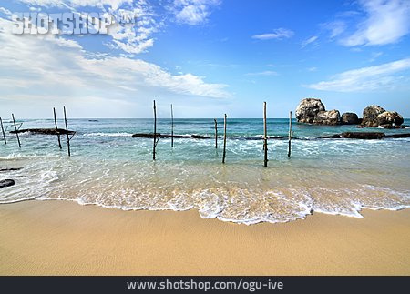 
                Fischerei, Sri Lanka, Stab                   