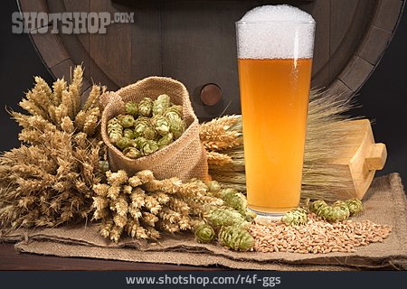 
                Bier, Hopfen, Brauerei                   