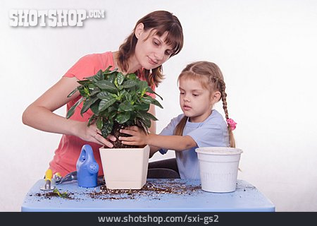 
                Mutter, Tochter, Einpflanzen, Umtopfen                   