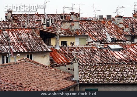 
                Dächer, Lucca                   