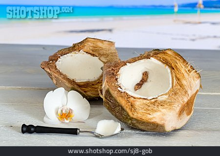 
                Fruchtfleisch, Kokosnuss                   