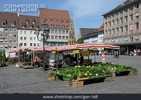
                Marktplatz, Nürnberg, Wochenmarkt                   