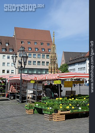 
                Marktplatz, Nürnberg, Wochenmarkt                   