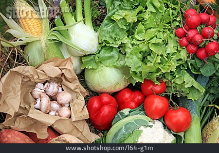 
                Gesunde Ernährung, Gemüse, Vegetarisch, Vegan                   
