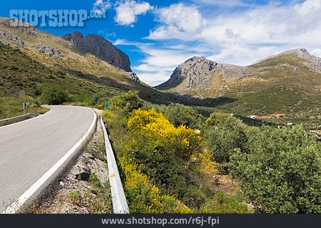 
                Straße, Gebirgslandschaft, Andalusien                   