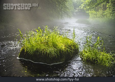 
                Natur, Umwelt, Fluss                   