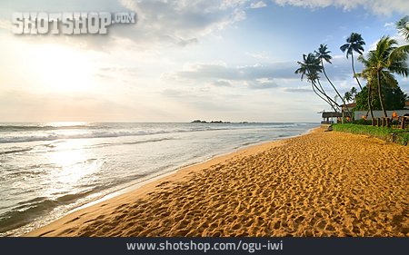 
                Atlantik, Sri Lanka, Sandstrand                   