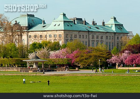 
                Park, Dresden, Japanisches Palais                   