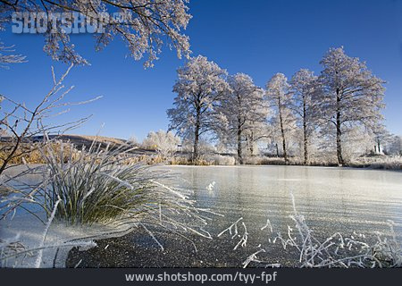 
                Landschaft, See, Winter                   