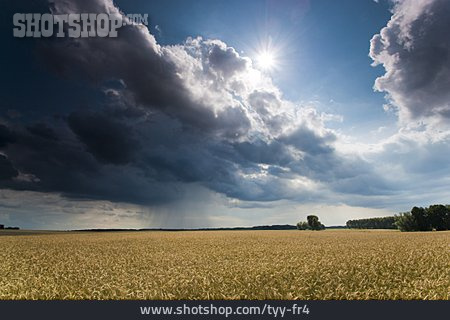
                Gewitterwolke, Landwirtschaft, Getreidefeld                   