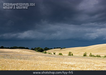 
                Gewitterwolke, Getreidefeld, Schlechtes Wetter                   