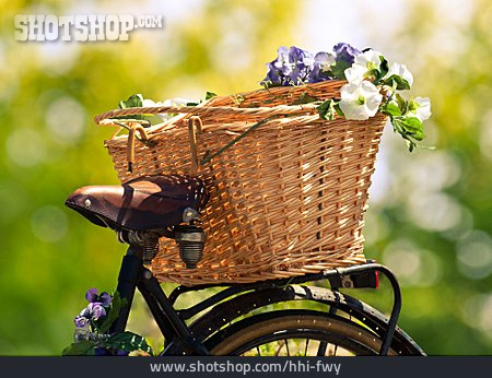 
                Blüten, Fahrradkorb                   