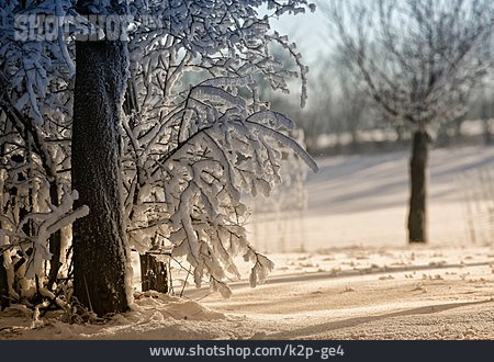 
                Landscape, Winter, Snow                   