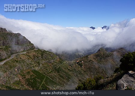 
                Tal, Madeira, Passatwolken                   