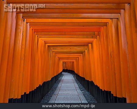 
                Schrein, Kyoto, Fushimi Inari-taisha                   