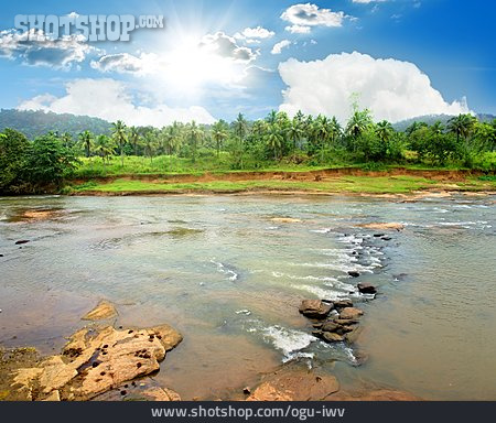 
                Urwald, Fluss, Sri Lanka                   