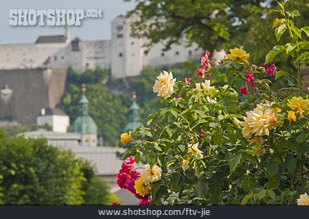 
                Salzburg, Festung Hohensalzburg, Schloss Mirabell                   