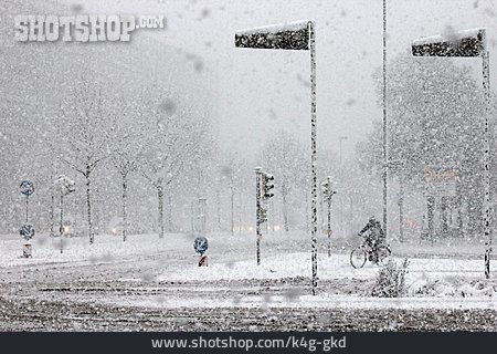 
                Winter, Straße, Schneetreiben                   