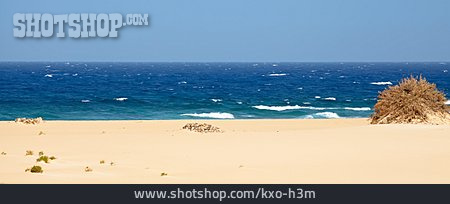 
                Strand, Meer, Fuerteventura                   