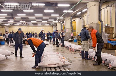 
                Fischverkauf, Tsukiji-fischmarkt                   
