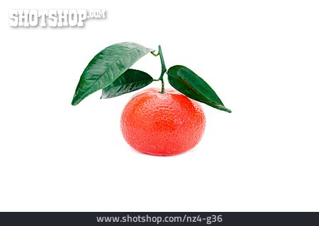 
                Clementine                   