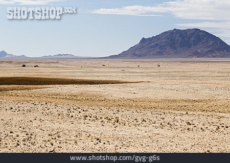 
                Namib-wüste, Namib-naukluft-nationalpark                   