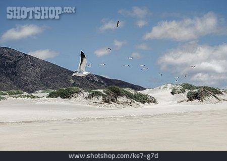 
                Chile, Sandstrand, Pichidangui                   
