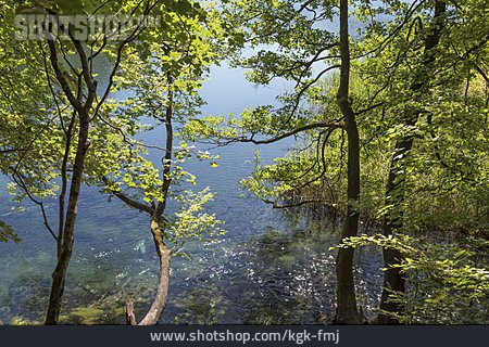 
                Plitvicer Seen, Nationalpark Plitvicer Seen                   