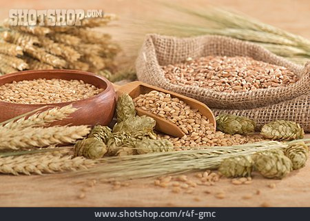 
                Getreide, Weizen, Hopfen, Zutaten                   