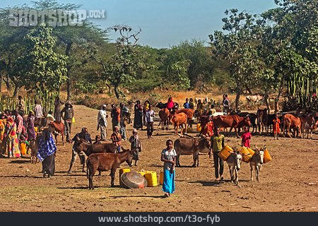 
                Markt, äthiopien                   