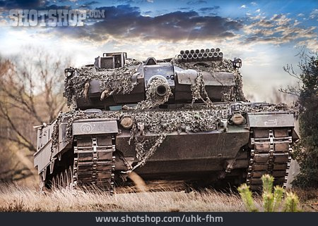 
                Panzer, Camouflage, übung                   
